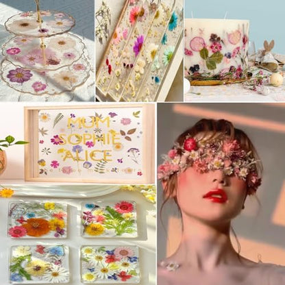 Purple Pressed Flowers 88Pcs Real Natural Dried for Resin Molds, DIY Crafts, Jewelry + Free 100Pcs Butterfly Stickers + Tweezers - Image 5