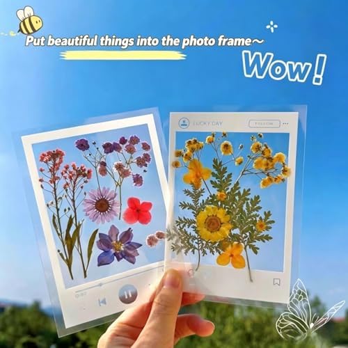 Transparent Dried Flower Bookmarks, 40Pcs DIY Handmade Dried Flower Bookmark kit, Clear Acrylic Photo Frame Page Markers for Reading Lovers, Adults and Kids, 20 Designs, 3.9" x 5.5" (40, PCS) - Image 6