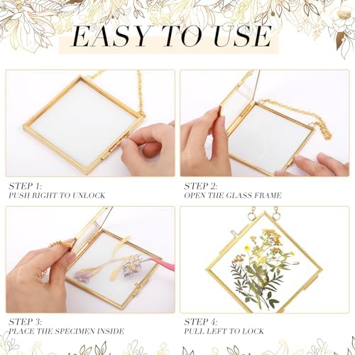 DoubleFill 12 Pcs Pressed Flower Frame Double Glass Gold Metal,4 x 4 Inch - Image 3