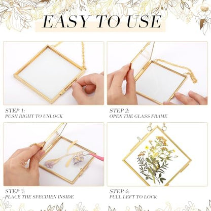 DoubleFill 12 Pcs Pressed Flower Frame Double Glass Gold Metal,4 x 4 Inch - Image 3