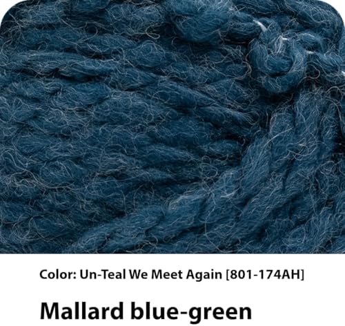 Lion Brand Yarn InstaKnit Beginner Yarn for Knitting, Un-Teal We Meet Again, 1 Pack - Image 2