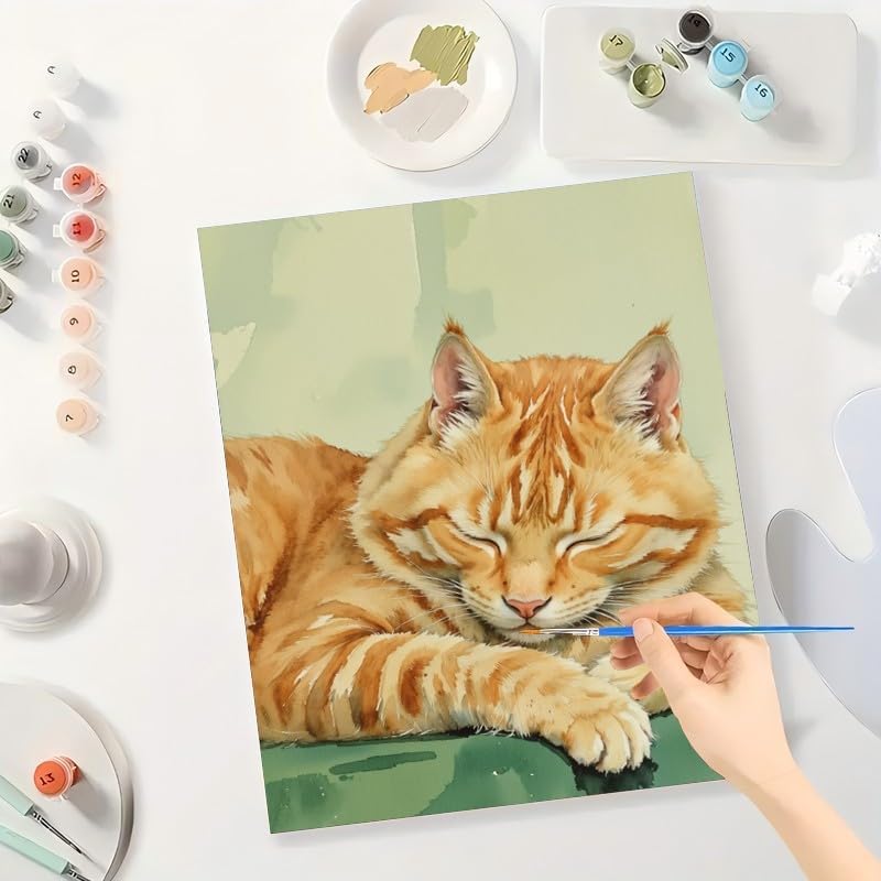 TAOPAOLAB Cat Paint by Numbers Kit for Adults - DIY Sleeping Orange Tabby Painting on Canvas 12x16In, Framed Acrylic Paint Set, Suitable for Beginners, Animal Art for Home Decoration or Gifts - Image 3