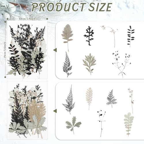 Timtin 84 Pieces Dried Pressed Leaves Dried Flowers for Resin Dried Leaves for Resin Mini Dried Flowers for Crafts Dried Greenery Assorted for Art DIY Handmade Bookmarks 4 Bags (Stylish Style) - Image 2