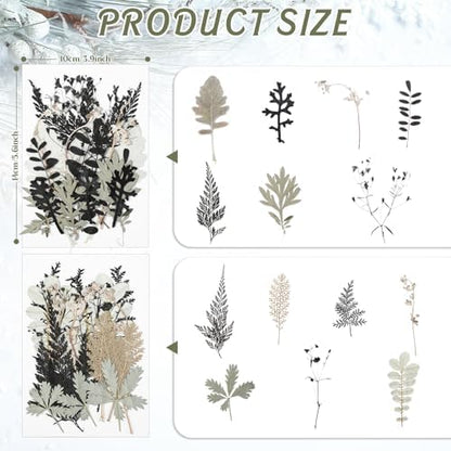 Timtin 84 Pieces Dried Pressed Leaves Dried Flowers for Resin Dried Leaves for Resin Mini Dried Flowers for Crafts Dried Greenery Assorted for Art DIY Handmade Bookmarks 4 Bags (Stylish Style) - Image 2