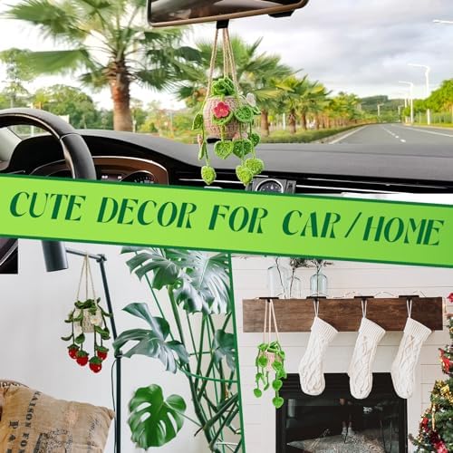 SGIBYN Crochet Kit for Beginners with Video - 4 Pcs Hanging Plant Craft Set - Image 3