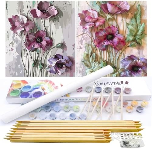 BAISITE Paint by Numbers Kit for Adults Beginners,12" Wx16 L 2 Pack Canvas for Painting Kits for Adults in Colorful Box-Poppies 6566-DIY Frame by PaintbyNumbersKitsforAdults