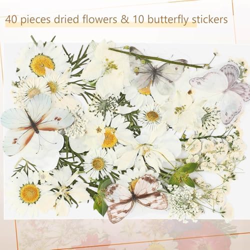 Taobary 91 Pcs DIY Dried Flowers Bookmarks Transparent, Simple Color - Image 4