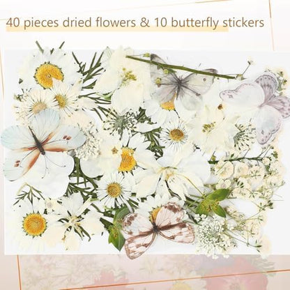 Taobary 91 Pcs DIY Dried Flowers Bookmarks Transparent, Simple Color - Image 4