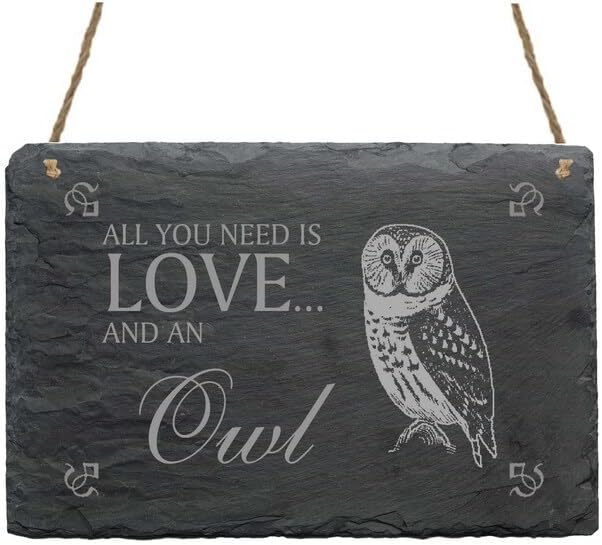 DGAGA 4PCS Owl Self-Adhesive Silk Screen Stencil Parrot Mesh Transfers Various Birds Pattern for Festival Stencils Screen Printing Stencils for Painting on Wood, Home Decor,Bag, T-Shirts 8.5x11 in - Image 3