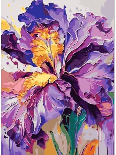 Iris Flower Paint by Numbers Kits for Adults Beginner 16 X 20 inch by Unknown