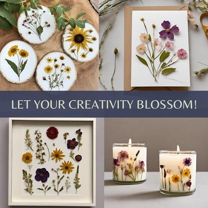 Flower Press Kit | Durable Hardwood 8x10in - Flower Preserving Kit Up to 8 layers - Floral Preservation kits for adults and kids | Innovative and Giftable Floral Pressing kit for Craft Enthusiasts - Image 6