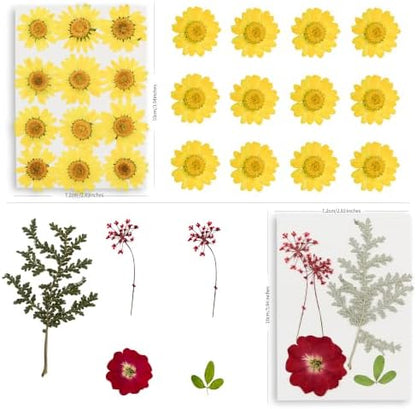 95PCS Real Natural Dried Pressed Flowers and Leaves Craft Kit with Tweezers & Glue Pen for Resin, Scrapbooking, Card Making & DIY Crafts - Image 6