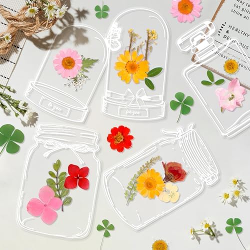 Large Size Transparent Dried Flower Bookmarks, 20 PCS Handmade DIY Flower Page Clips,World in Bottle-Making Stunning Herbarium(Glass Bottle) by oecoel