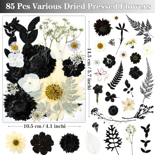 85 PCS Black Dried Pressed Flowers for Crafts Resin - Image 3