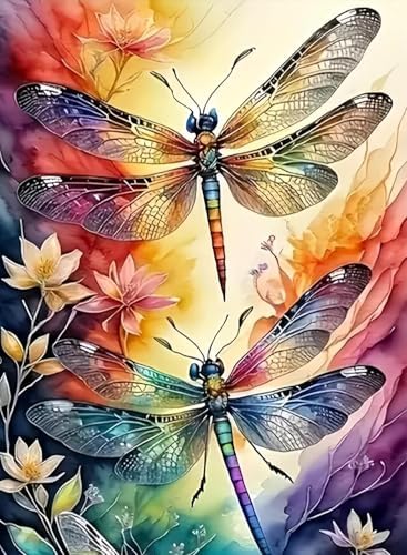 AIBOERL Paint by Numbers Kit for Adults Beginner, Dragonfly, 12X16In by AIBOERL