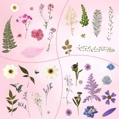 Augshy Dried Pressed Flowers Dry Leaves, 80 Pcs Real Pressed Flowers Leaves for Resin Molds Assorted Pink Blue White Flower for Crafts DIY Jewelry Molds, Scrapbooking, Candle - Image 4