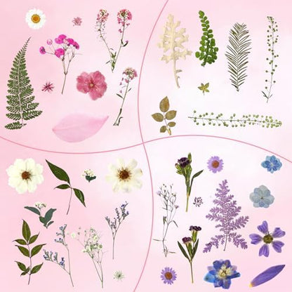 Augshy Dried Pressed Flowers Dry Leaves, 80 Pcs Real Pressed Flowers Leaves for Resin Molds Assorted Pink Blue White Flower for Crafts DIY Jewelry Molds, Scrapbooking, Candle - Image 4