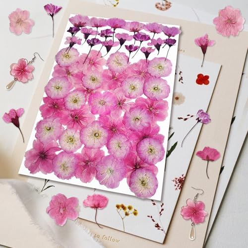 51 Pcs Real Natural Cherry Blossom Dried Pressed Flowers - Delicate Pink Florals for Resin Jewelry, Candle Making, Frame Decor & DIY Craft Projects - Image 2