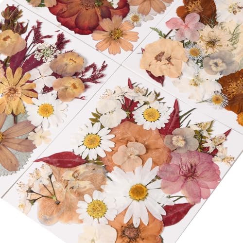 110 PCS Vintage-Colored Pressed Flowers, Colorful-d - Image 4