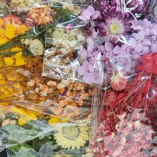 6 Color Themes Natural Dried Flowers Small Real Dry Flower for Resin, Soap Making, Greeting Cards, Craft Projects - Image 2