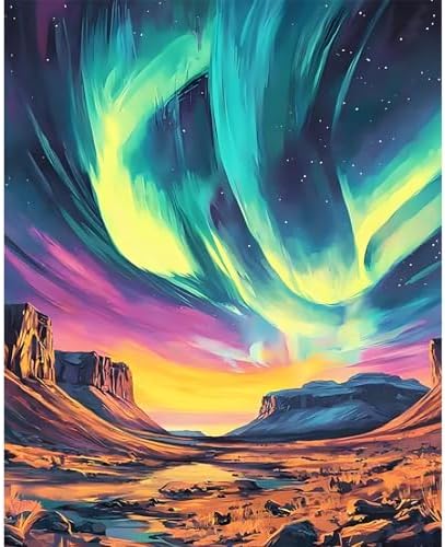 Paint by Numbers Kit for Adults, Aurora DIY Painting Kit, 16x20 Inch by CytheronDIYKit