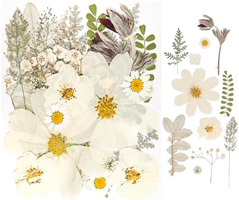 50Pcs Dried Pressed Flowers Real Pressed Flowers Natural Dry Leaves Bulk Mixed Colorful Herbs Kit with Tweezers for Scrapbooking DIY Candle Jewelry Crafts Making Nails (White) - Image 6