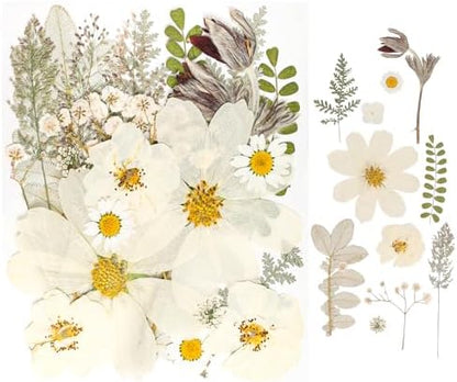 50Pcs Dried Pressed Flowers Real Pressed Flowers Natural Dry Leaves Bulk Mixed Colorful Herbs Kit with Tweezers for Scrapbooking DIY Candle Jewelry Crafts Making Nails (White) - Image 6