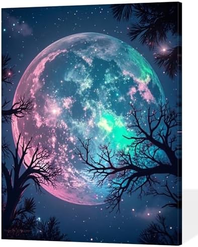 ACANDYL Moon Paint by Numbers Kit for Adults Easy Paint by Number 16x20 in by ACANDYLPaintbyNumbersKits