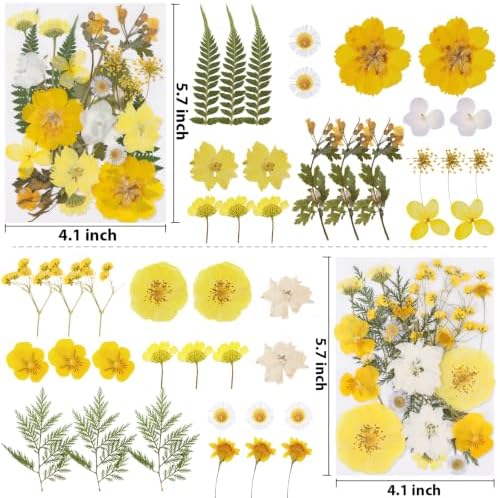 128 Pcs Fall Dried Pressed Flowers for Resin,Natural Real Dried Flowers - Image 3