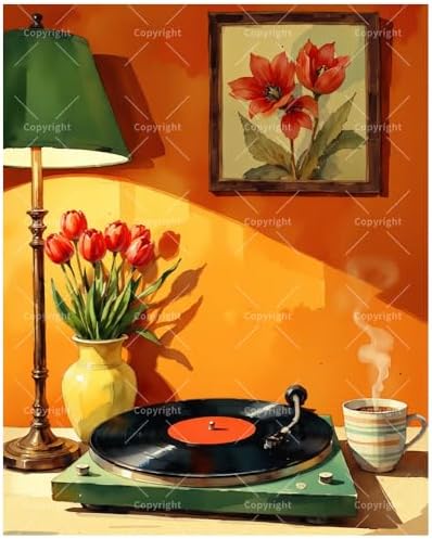 Vintage Vibes Paint by Numbers Kit for Adults - DIY Retro Vinyl Records and Red Tulips Painting on Canvas 16x20In, Framed Acrylic Paint Set, Suitable for Beginners, Classic Art for Decoration/Gifts by Unknown