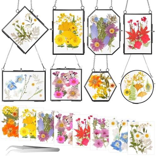 Barydat 8 Set Glass Pressed Flower Frames Gifts for Craft Home Decor,Black by home
