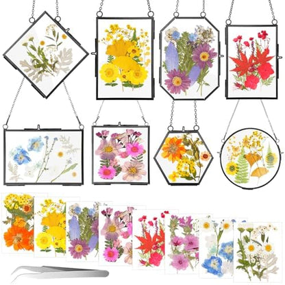 Barydat 8 Set Glass Pressed Flower Frames Gifts for Craft Home Decor,Black by home