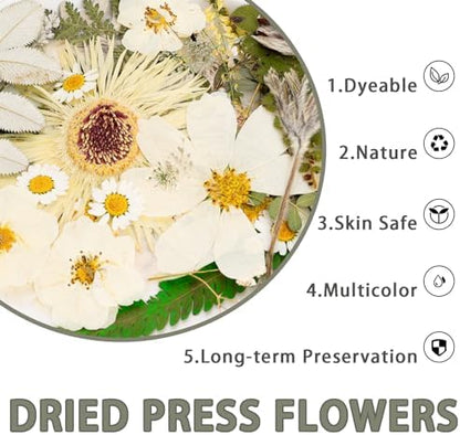 50Pcs Dried Pressed Flowers Real Pressed Flowers Natural Dry Leaves Bulk Mixed Colorful Herbs Kit with Tweezers for Scrapbooking DIY Candle Jewelry Crafts Making Nails (White) - Image 5