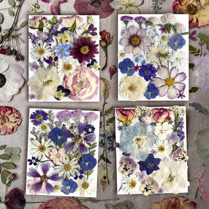 Purple Pressed Flowers 88Pcs Real Natural Dried for Resin Molds, DIY Crafts, Jewelry + Free 100Pcs Butterfly Stickers + Tweezers - Image 4