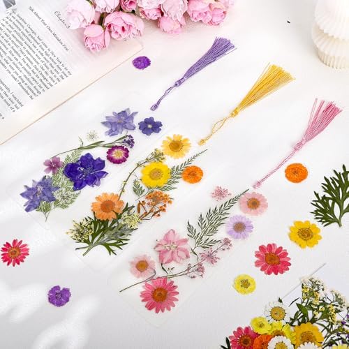kmfosaat 344 Pcs Pressed Flower Bookmark Making Kit, 50 Laminating Pouches with 242 Dried Flowers, 50 Tassels, Tweezer and Punch, Party DIY Crafts Bookmark for Book Lovers - Image 3