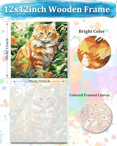 TOCARE Framed Paint by Numbers Kit for Adults Beginners,12x12inch Orange Cat Paint by Number with Frame,Easy Cat Paint by Numbers Framed Canvas (Without Easel) - Image 2