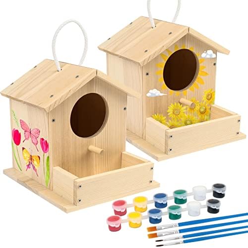 LotFancy Bird House Kit, 2 Pack, DIY Wooden Birdhouse Kits, Arts and Crafts Painting Kit for Kids, Build and Paint, Including Paints & Brushes by LotFancy
