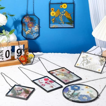 Barydat 8 Set Glass Pressed Flower Frames Gifts for Craft Home Decor,Black - Image 6