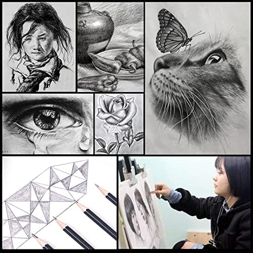 Drawing Pencils Sketch Pencil Art Supplies Set for Adults Beginners Professional Sketching Art Graphite Charcoal Blending Stump Pencils kit - Image 4