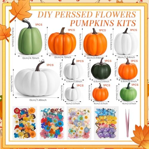 Canlierr 12 Pcs Large Craft Pumpkins & 150 Dried Flower, Orange White Green - Image 2