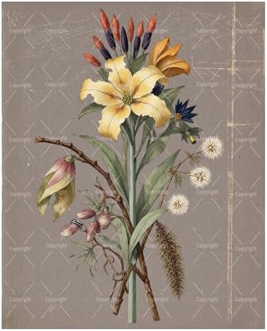 Botanical Paint By Numbers Kit For Adults - Diy Botanical Lily Stem Painting On Canvas 16X20 In, Acrylic Paint Set, Suitable For Beginners, Wall Decor Art For Home Decoration Or Gifts, Unframed by Unknown
