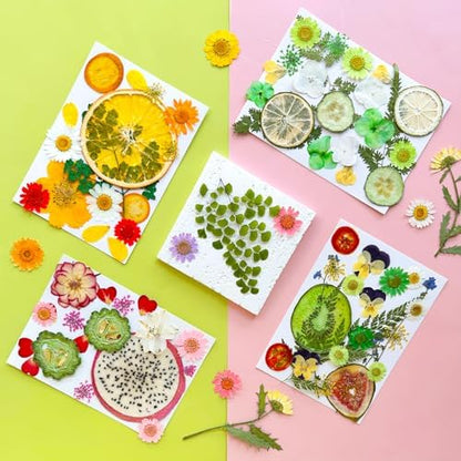 MIKIYA 75Pcs Pressed Dried Flowers Fruits for Resin Molds, Real Natural Bulk Assorted Dry Floral Leave for DIY Art Crafts, Epoxy Jewelry, Candle, Soap Making, Nails Decors Gifts - Image 3