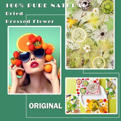 MIKIYA 75Pcs Pressed Dried Flowers Fruits for Resin Molds, Real Natural Bulk Assorted Dry Floral Leave for DIY Art Crafts, Epoxy Jewelry, Candle, Soap Making, Nails Decors Gifts - Image 2
