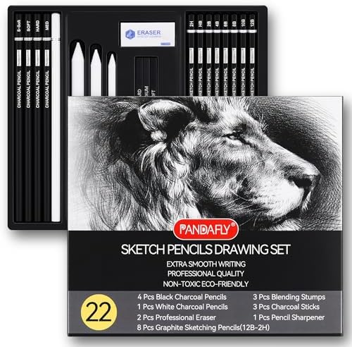 PANDAFLY Drawing Sketching Pencil Set, 22 Piece, Graphite Pencils (12B-2H) by PANDAFLYArtSupplies