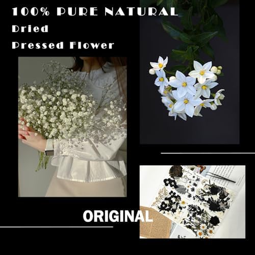 MIKIYA 84Pcs Black Dried Pressed Flowers for Resin Molds, Bulk Real Natural Dry Floral for DIY Art Crafts, Epoxy Jewelry, Candle, Soap Making, Nails Decor, Phone Case - Image 2