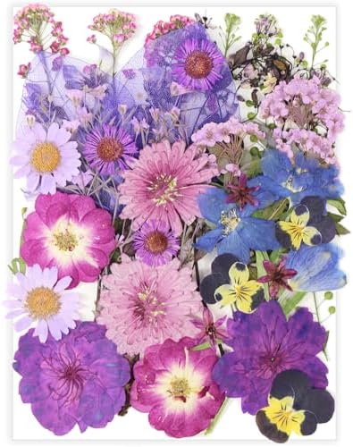40 Pcs Purple Dried Pressed Flowers Real Natural for Scrapbooking Art Crafts DIY Gift Papermaking Resin Party Decorations Candle Soap Card Jewelry Making Supplies by Unknown