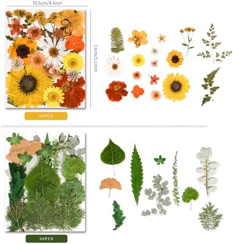 150PCS Pressed Dried Flowers Dry Leaves for DIY Crafts, Colorful - Image 5
