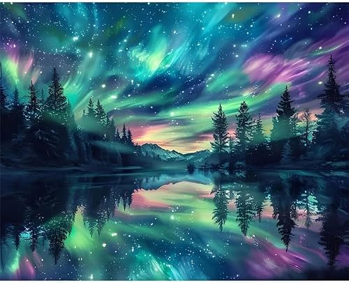 Hutarosl Paint by Numbers for Adults-Aurora Paint by Number Canvas for Adults,Starry Sky Paint by Number Adult,Aurora DIY Oil Painting Kits for Gifts Home Decor 16x20in by Hutarosl