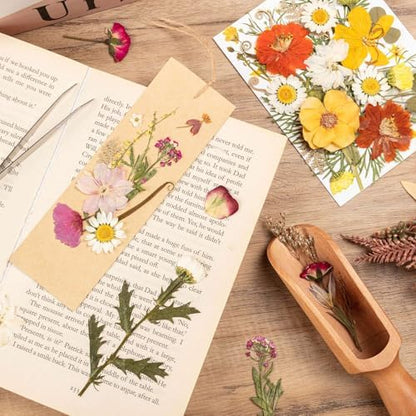 140pcs Dried Pressed Flowers Bulk, Natural Fall Pressed Dried Flowers with Tweezer for DIY Crafts Resin Mold Candles Cake Bridal Scrapbooking Supplies - Image 6