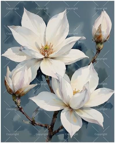 TAOPAOLAB Botanical Art Paint by Numbers Kit for Adults - DIY White Magnolia Flowers on Branch Painting on Canvas 12x16In, Framed Acrylic Paint Set for Beginners, Art for Home Decoration/Gifts by Unknown